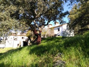 Quintas e casas rústicas 6 Quartos em Ribeira de Nisa e Carreiras
