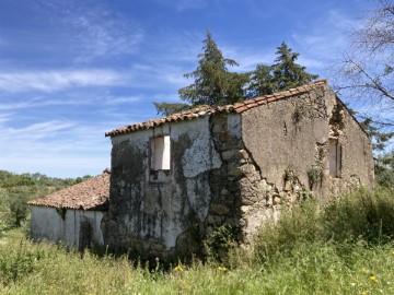 Quintas e casas rústicas 4 Quartos em Santa Maria da Devesa