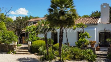 Quintas e casas rústicas 3 Quartos em São Brás de Alportel
