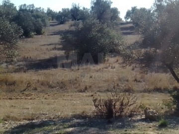 Terreno em Almancil