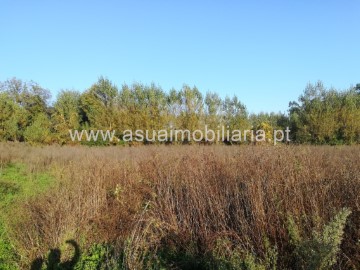 Terreno em Ferreiros, Prozelo e Besteiros