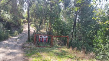 Terreno em Vilela, Seramil e Paredes Secas