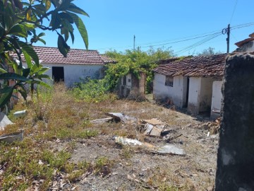 Maison 2 Chambres à São João da Ribeira e Ribeira de São João