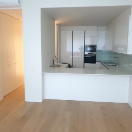 Apartment 1 Bedroom in Alvalade