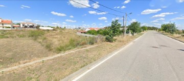 Terreno em Castelo Branco