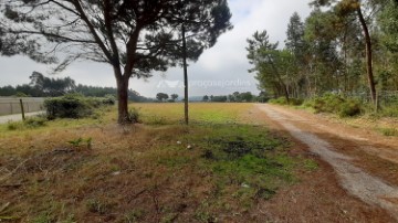 Casas rústicas en Souto da Carpalhosa e Ortigosa