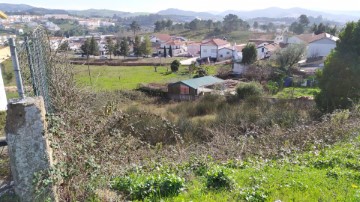 Terre à União Freguesias Santa Maria, São Pedro e Matacães