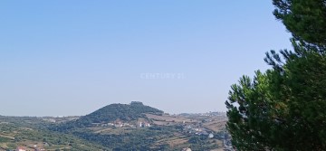 Terre à Igreja Nova e Cheleiros