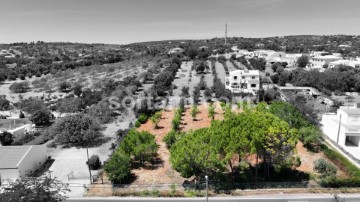 Terreno em São Clemente