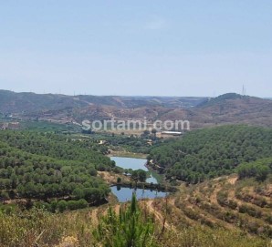 Quintas e casas rústicas em Silves