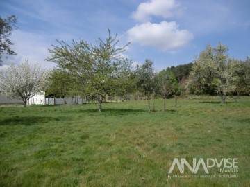 Maison 1 Chambre à Campo