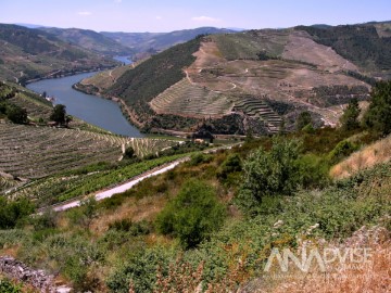 Land in Valença do Douro