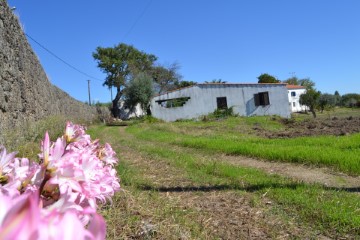Country homes in Tinalhas