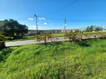 Land in Castelo Branco