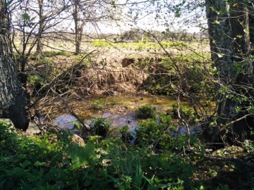 Terrenos en Póvoa de Atalaia e Atalaia do Campo