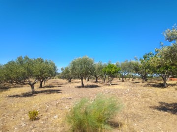 Land in Malpica do Tejo