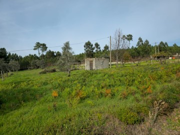 Terreno em Estreito-Vilar Barroco