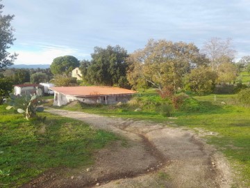 Terreno em Escalos de Baixo e Mata