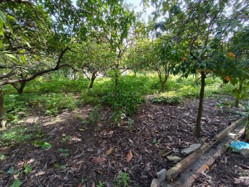 Terreno em Vila Franca de Xira