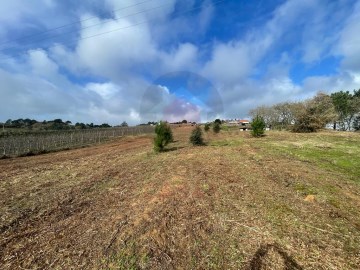 Terreno em Salir de Matos