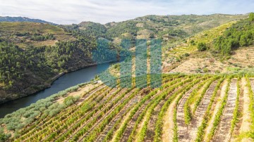 Quintas e casas rústicas  em Carlão e Amieiro