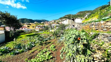 Moradia 3 Quartos em Machico