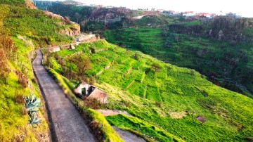 Terreno em Ponta do Pargo