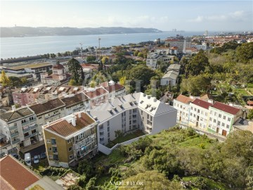 Vista aérea modelo Conde da Ribeira