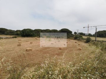 Terrenos en São João das Lampas e Terrugem