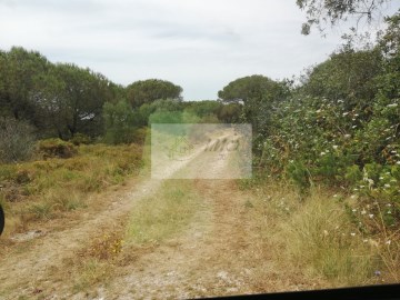 Terreno em São João das Lampas e Terrugem