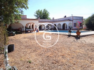 Country homes 4 Bedrooms in Chamusca e Pinheiro Grande