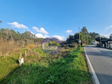 Land in Santa Maria da Feira, Travanca, Sanfins e Espargo