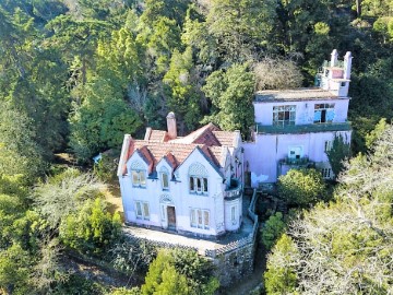 Farm for Sale,Sintra,Portugal,Realestate investmen