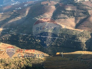 Terreno em Covas do Douro