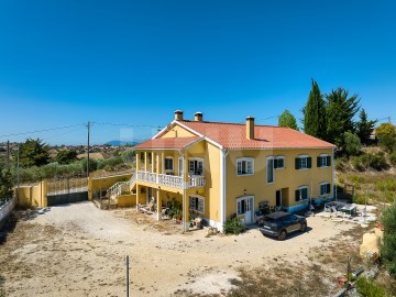 DJI_0505_hdr2