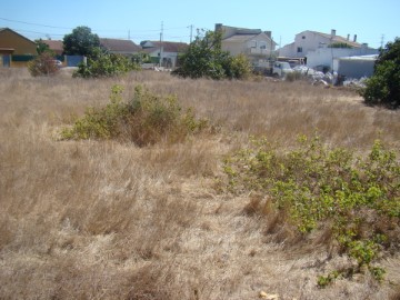 Terre à Quinta do Anjo