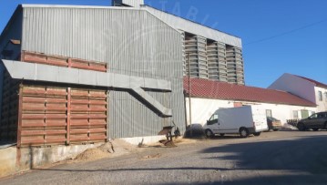 Industrial building / warehouse in Santiago do Cacém, S.Cruz e S.Bartolomeu da Serra