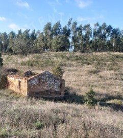 Terre à Santiago do Cacém, S.Cruz e S.Bartolomeu da Serra