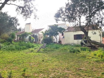 Quintas e casas rústicas 3 Quartos em Melides