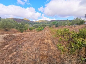 Terre à Grândola e Santa Margarida da Serra