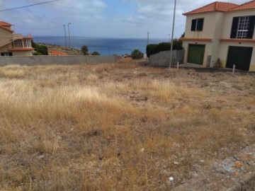 Terreno em Porto Santo