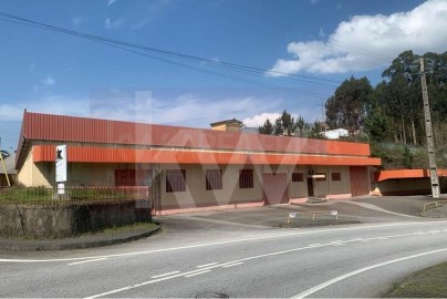 Bâtiment industriel / entrepôt à Caldas de São Jorge e Pigeiros