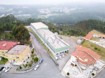 Nave en Caldas de São Jorge e Pigeiros