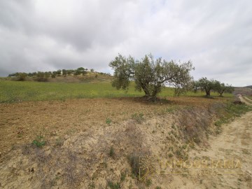 Terrenos en Alquería-Torrealquería