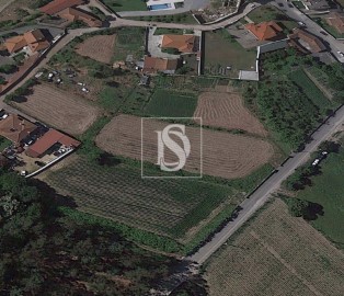 Land in Louro