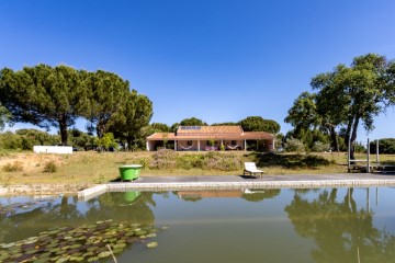 Casas rústicas 10 Habitaciones en Cortiçadas de Lavre e Lavre