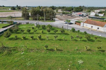 Land in Quinta do Anjo