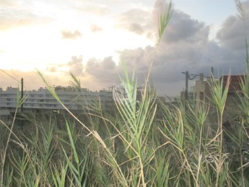 Terreno em Buarcos e São Julião