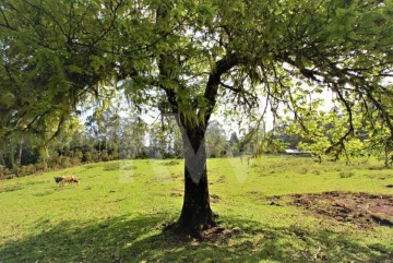 Terreno em Santana