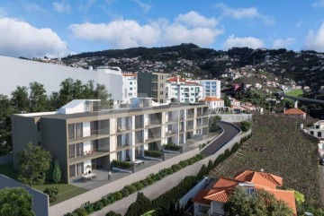 Apartment 3 Bedrooms in Estreito Câmara de Lobos